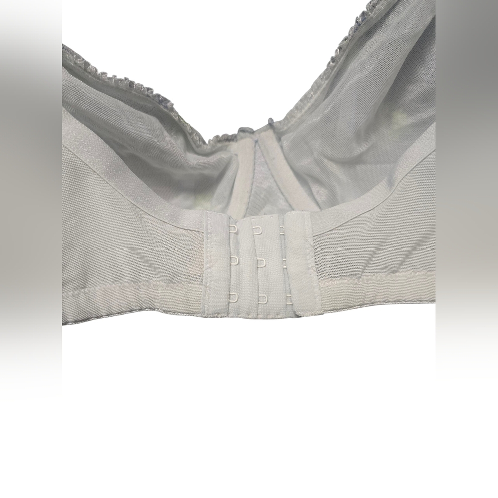 Cacique Elegant Blue Ribbon and Embroidered Cream Mesh Wired Bra 44DD - Picture 3 of 8